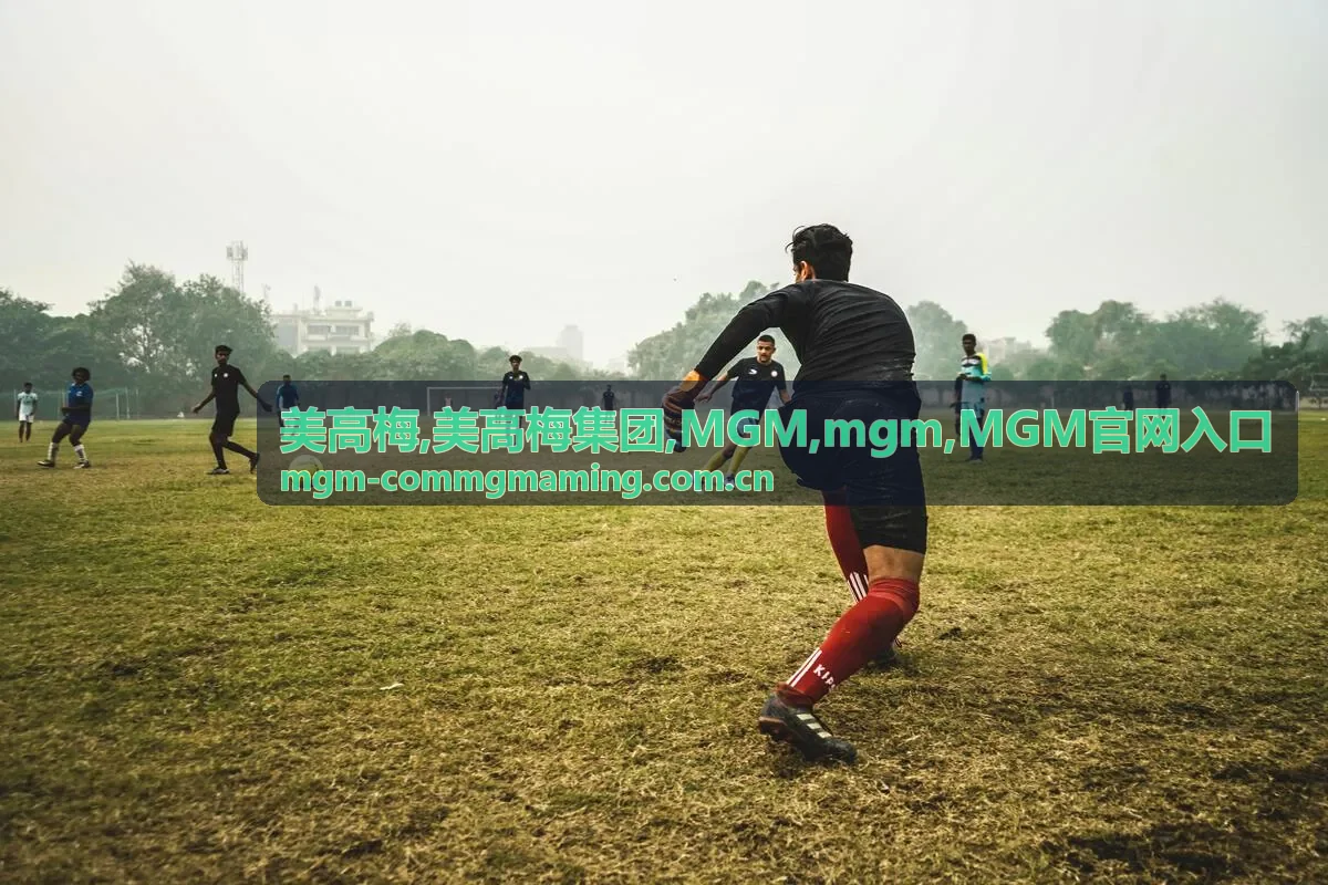 美高梅集团 MGM 入口资讯精选封面