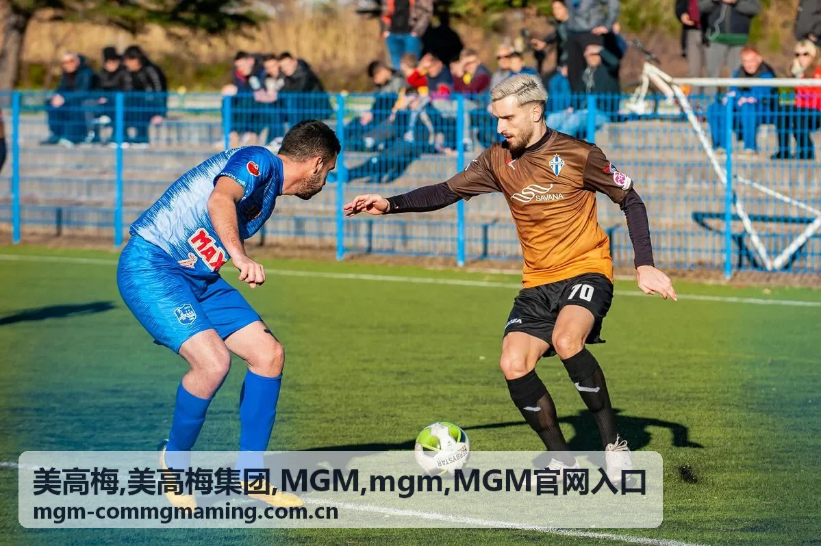 MGM 中文访问体验与服务分类说明